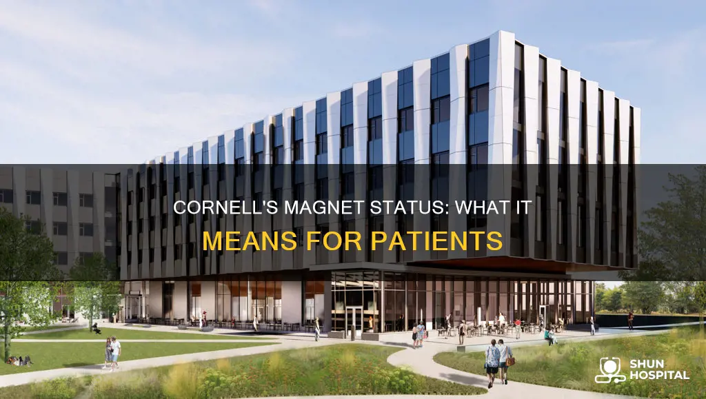 is nyp cornell weil a magnet hospital