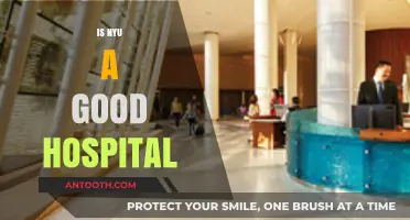 Is NYU a Good Hospital? Evaluating Quality, Care, and Reputation