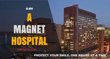 Is NYU a Magnet Hospital? Exploring Its Nursing Excellence Status