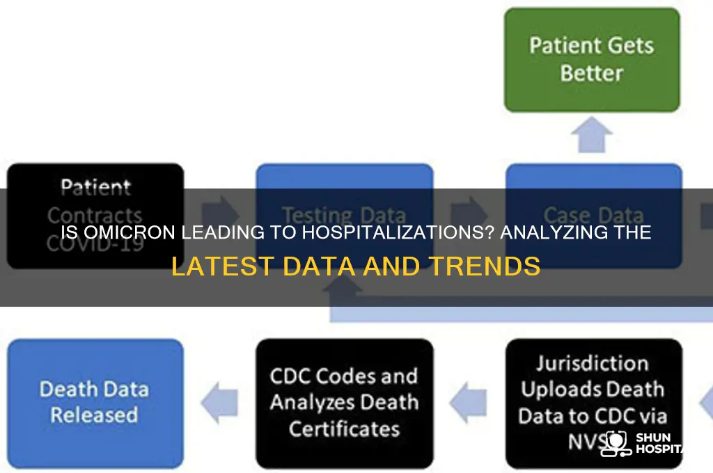is omnicron hospitalizing people