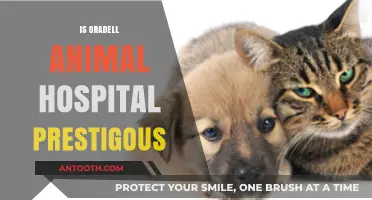 Is Oradell Animal Hospital Prestigious? Unveiling Its Reputation and Excellence