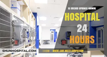 Animal Hospital Emergencies: Orchid Springs 24/7 Care