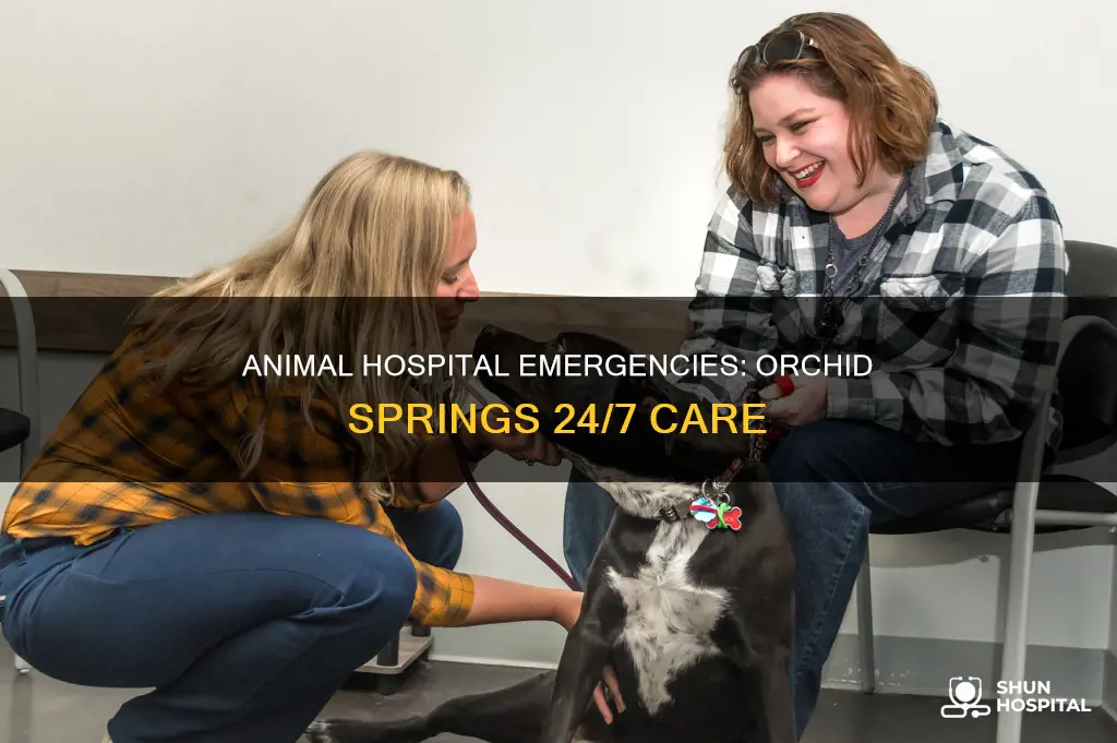is orchid springs animal hospital 24 hours
