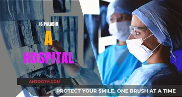 Is Paladin a Hospital? Unraveling the Truth Behind the Name