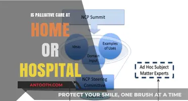 Palliative Care: Home or Hospital?