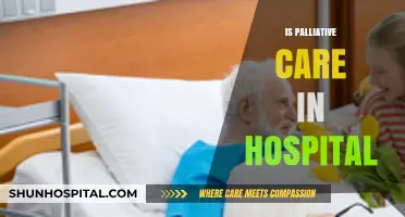 Understanding Palliative Care in Hospital Settings: What You Need to Know