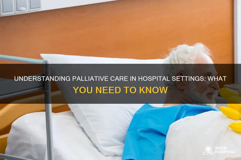 is palliative care in hospital
