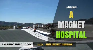 Is Palomar a Magnet Hospital? Exploring Its Nursing Excellence Status