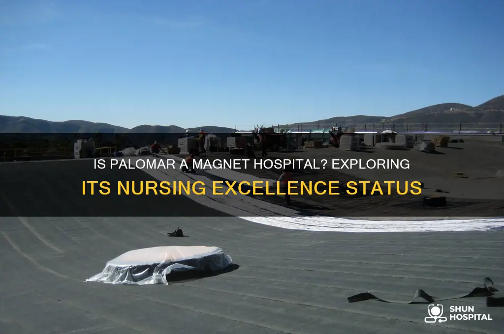 is palomar a magnet hospital