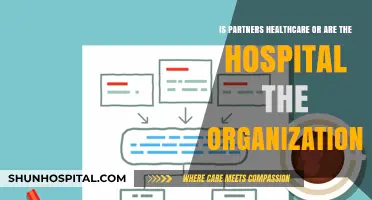 Partners Healthcare vs. Hospitals: Understanding Organizational Structures in Healthcare