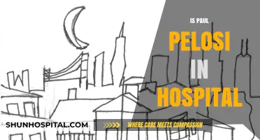 Paul Pelosi Hospitalized: Latest Updates on His Condition and Recovery