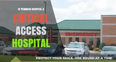 Pennock Hospital: Critical Access or Not?