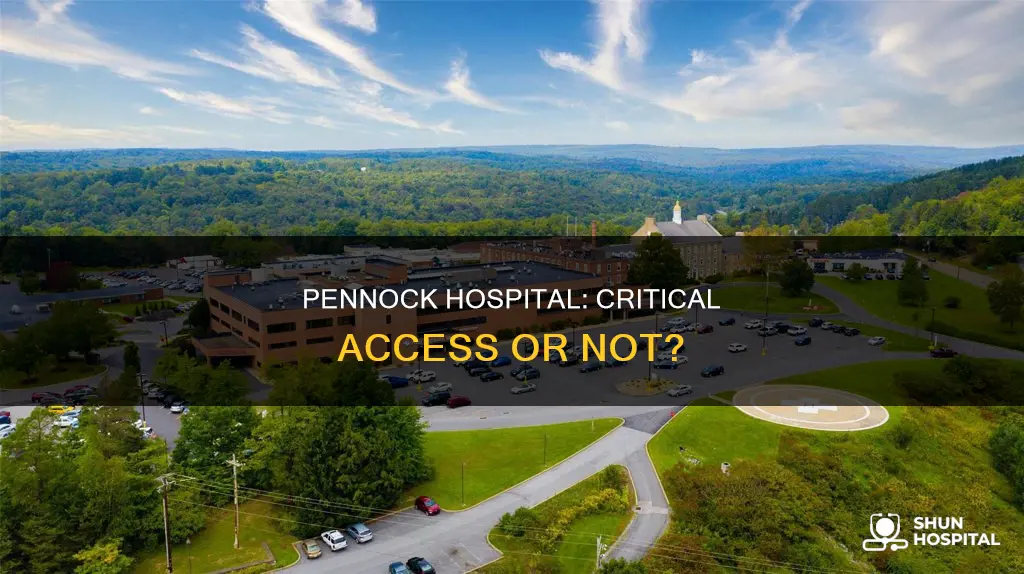is pennock hospital a critical access hospital