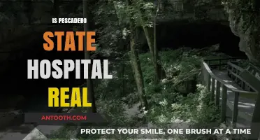 Unveiling the Truth: Is Pescadero State Hospital a Real Place?
