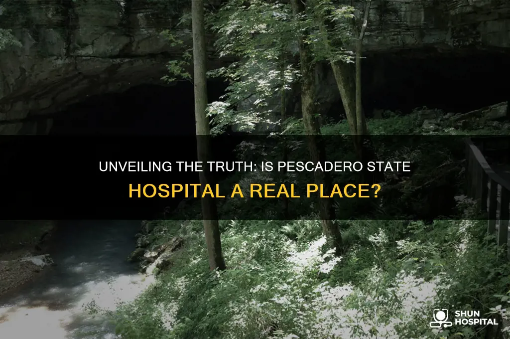 is pescadero state hospital real