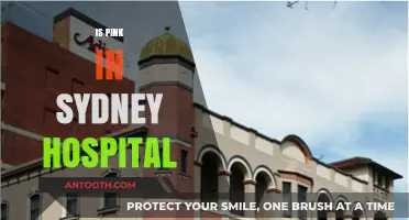 Is Pink in Sydney Hospital? Unraveling the Mystery Behind the Rumor