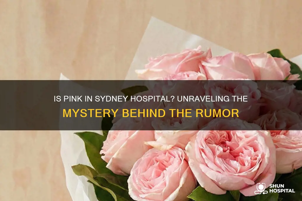 is pink in sydney hospital