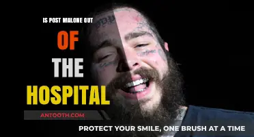 Post Malone Discharged: What We Know So Far