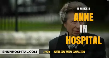Princess Anne Hospitalized: Latest Updates on Her Health and Recovery