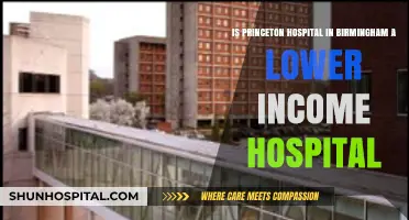 Princeton Hospital Birmingham: Serving Lower-Income Communities or Not?