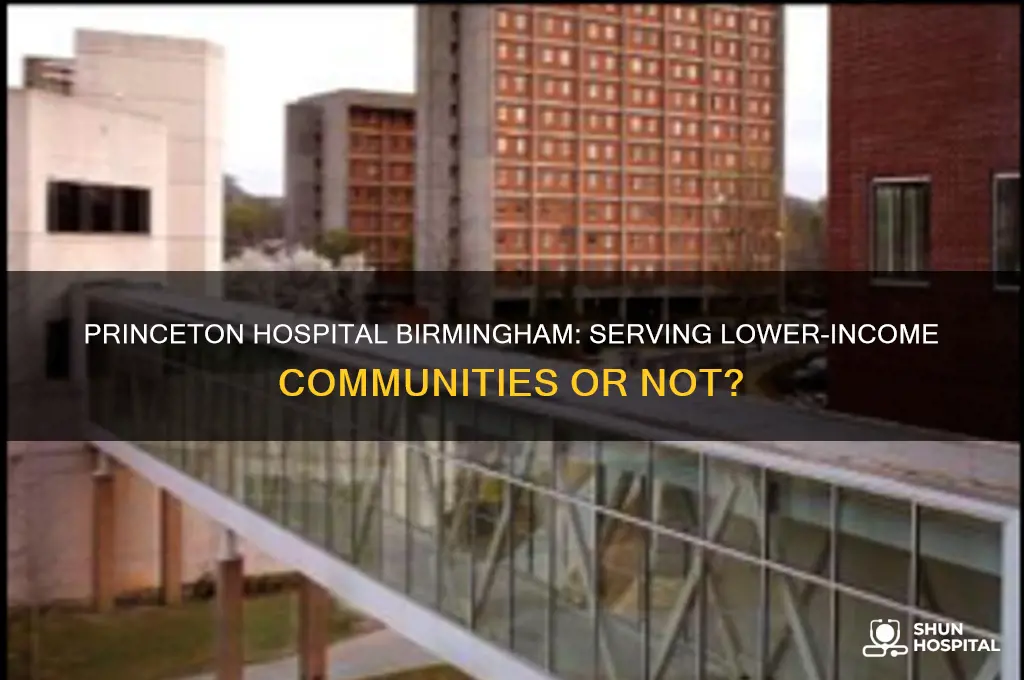 is princeton hospital in birmingham a lower income hospital