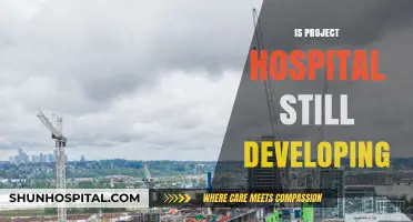 Project Hospital Development Status: Updates, Progress, and Future Plans