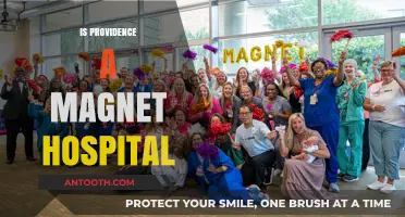 Is Providence a Magnet Hospital? Exploring Nursing Excellence and Recognition