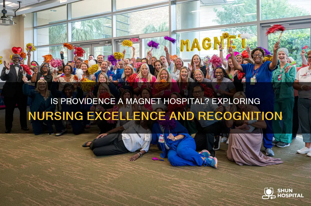 is providence a magnet hospital