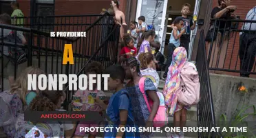 Is Providence a Nonprofit? Uncovering the Truth Behind the Organization