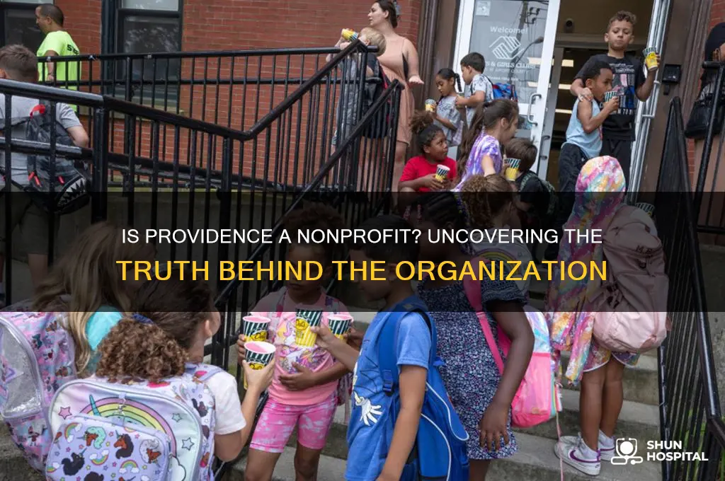 is providence a nonprofit