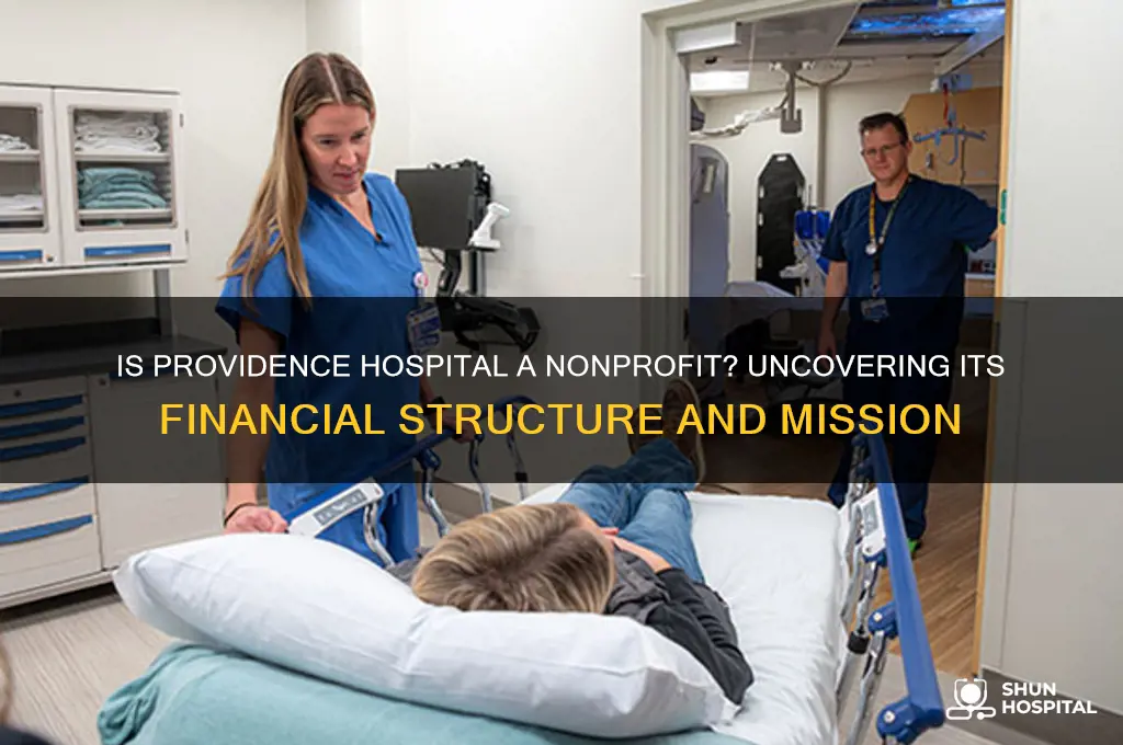 is providence hospital a nonprofit
