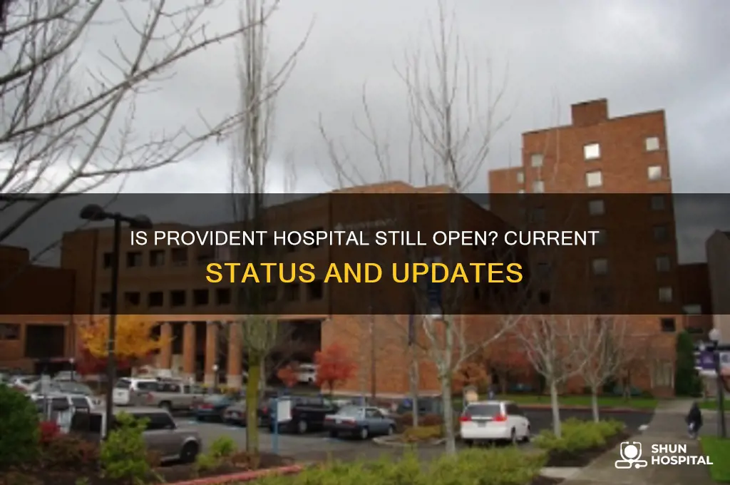 is provident hospital still open