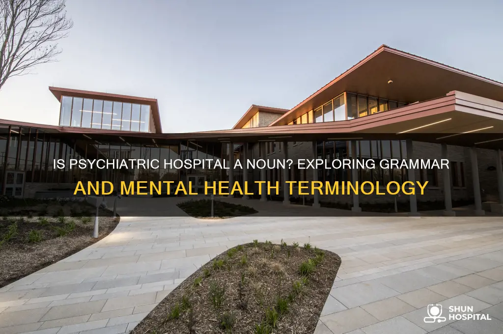is psychiatric hospital a noun