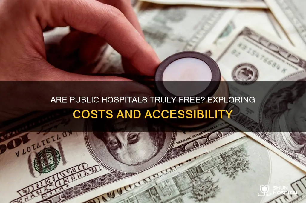 is public hospital free