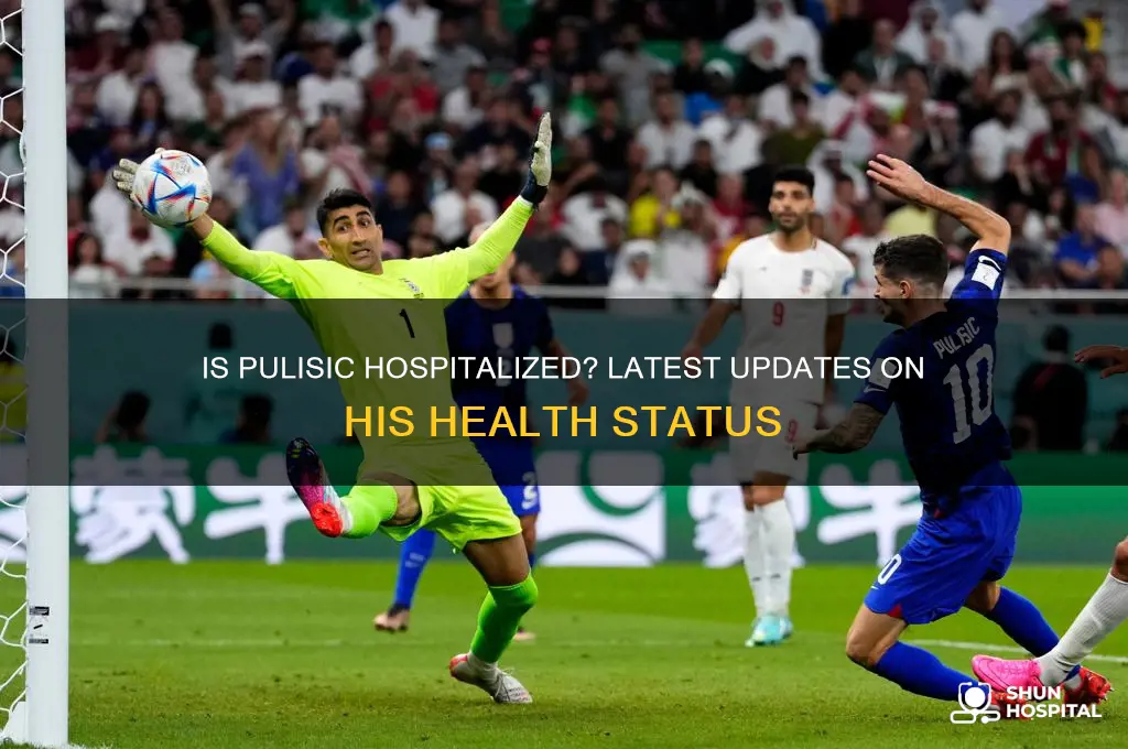 is pulisic in the hospital
