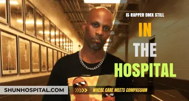 DMX's Hospitalization: What We Know So Far