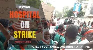 Regional Hospital Strike: Current Status, Impact, and Patient Concerns Explained