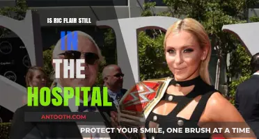 Ric Flair's Hospitalization: What We Know So Far