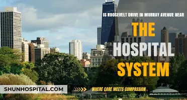 Roosevelt Drive and Murray Avenue: Proximity to the Hospital System