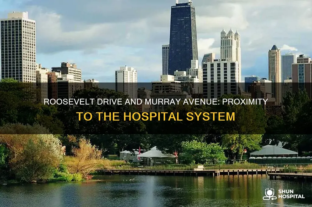 is roosevelt drive in murray avenue near the hospital system
