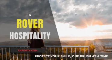 Exploring Rover Hospitality: A New Trend in Pet-Friendly Travel