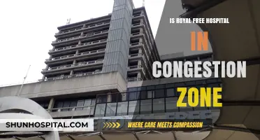 London's Congestion Charge: Does It Affect Royal Free Hospital Visitors?
