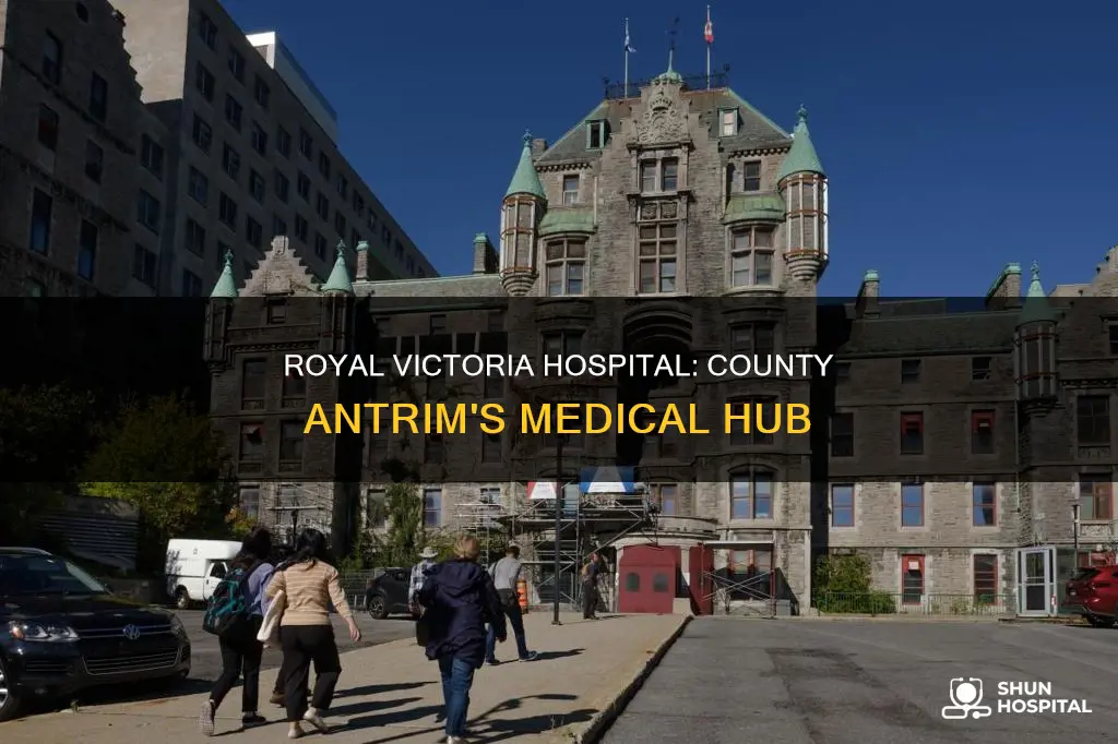 is royal victoria hospital in county antrim