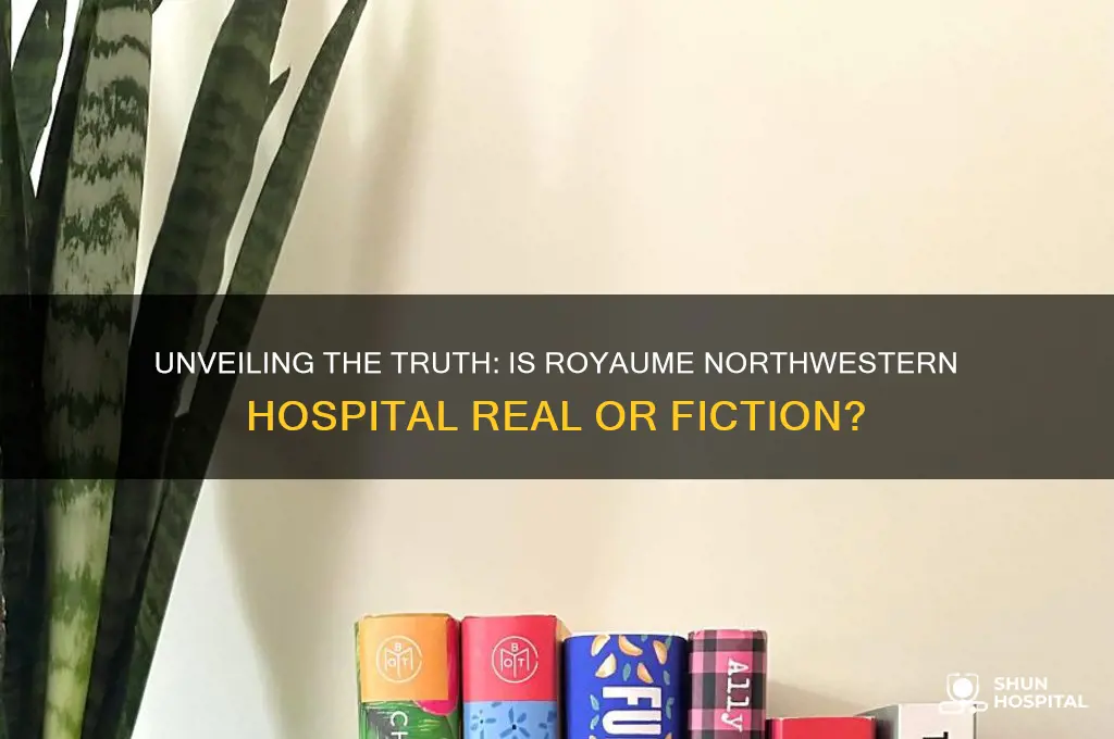is royaume northwestern hospital real