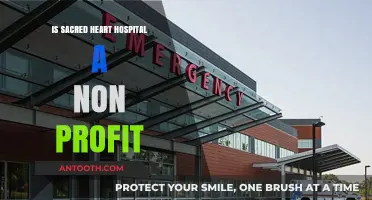 The Nature of Sacred Heart Hospital: Non-Profit or For-Profit?