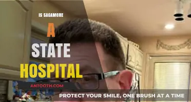 Is Sagamore a State Hospital? Unraveling the Truth and Facts