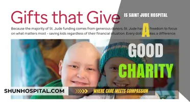 Saint Jude Hospital: A Worthy Charity?
