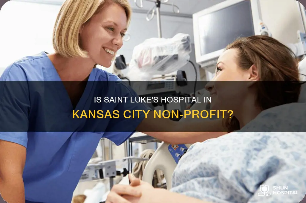 is saint luke