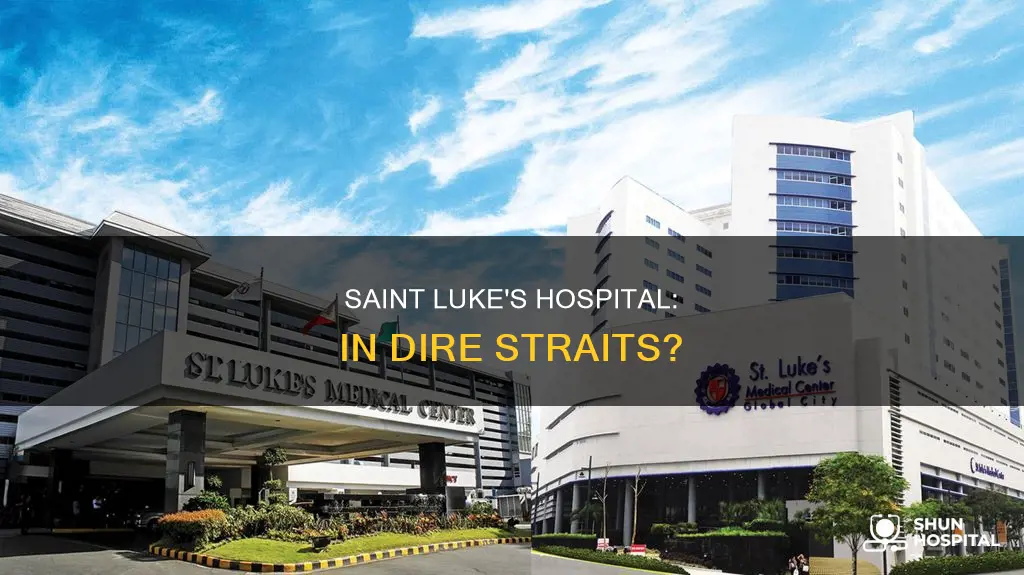 is saint luke