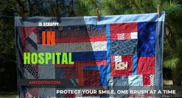 Is Scrappy in Hospital? Latest Updates and Health Concerns